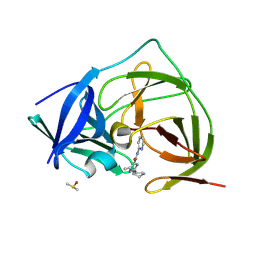 BU of 7hpf by Molmil
