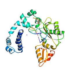 BU of 7ics by Molmil