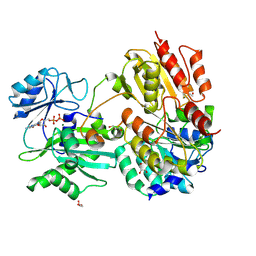 BU of 7jfp by Molmil