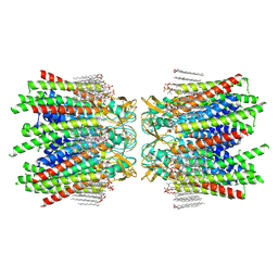 BU of 7jlw by Molmil