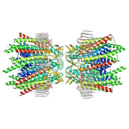 BU of 7jm9 by Molmil