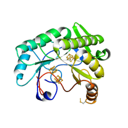 BU of 7jmb by Molmil