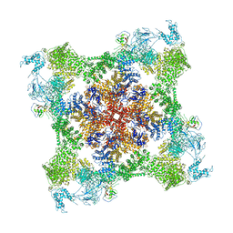 BU of 7jmh by Molmil