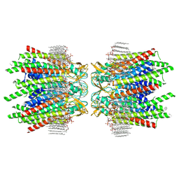 BU of 7jn0 by Molmil