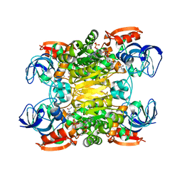 AU of 7jns by Molmil