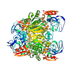 AU of 7jnu by Molmil