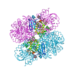 BU of 7jqx by Molmil