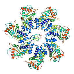 BU of 7jsg by Molmil