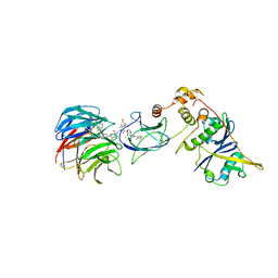 BU of 7jtp by Molmil