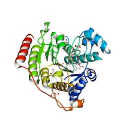 BU of 7jvv by Molmil