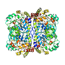 BU of 7kb1 by Molmil