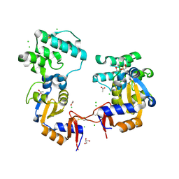 BU of 7kb3 by Molmil