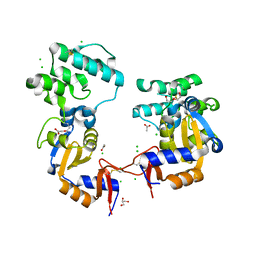 BU of 7kb3 by Molmil