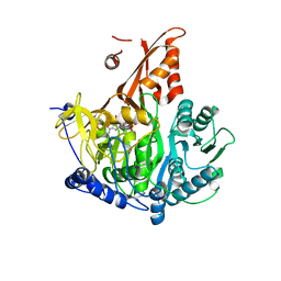 BU of 7kdn by Molmil