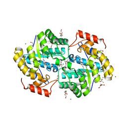 BU of 7kg2 by Molmil