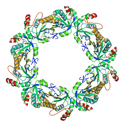 BU of 7kj1 by Molmil