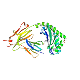 BU of 7kp1 by Molmil