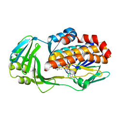 BU of 7kpq by Molmil