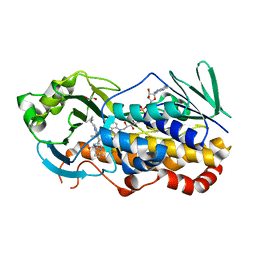 BU of 7kpt by Molmil