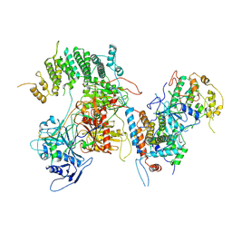 BU of 7kpv by Molmil