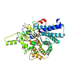 BU of 7kv2 by Molmil