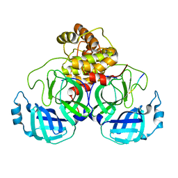 AU of 7kvg by Molmil