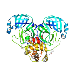 AU of 7kw5 by Molmil
