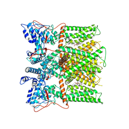 BU of 7l2o by Molmil