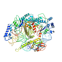 BU of 7l48 by Molmil