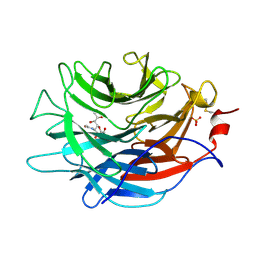 BU of 7lbv by Molmil