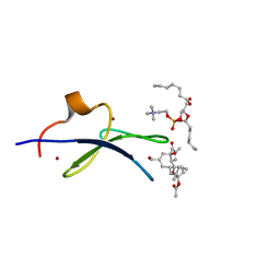 BU of 7lcb by Molmil