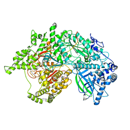 AU of 7lcc by Molmil