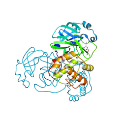 BU of 7lcq by Molmil