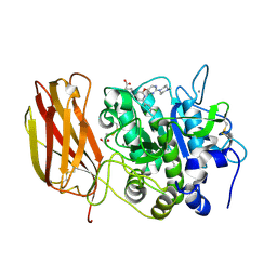 BU of 7lcu by Molmil