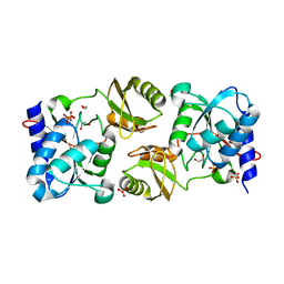 BU of 7lda by Molmil