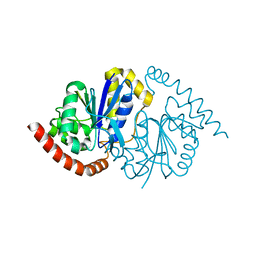 BU of 7ldm by Molmil