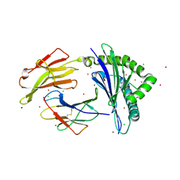 BU of 7lgt by Molmil