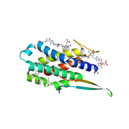 BU of 7lj0 by Molmil