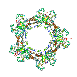 BU of 7lj1 by Molmil