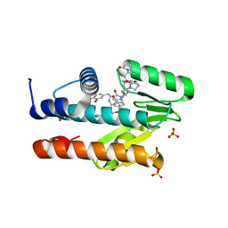 BU of 7lm4 by Molmil