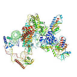 BU of 7lmb by Molmil