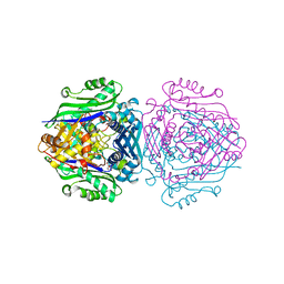 BU of 7lnh by Molmil