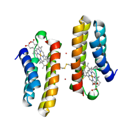 BU of 7lrb by Molmil