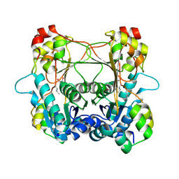 BU of 7lte by Molmil