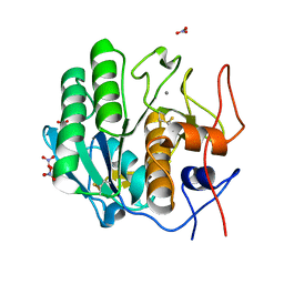 BU of 7ltv by Molmil