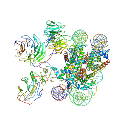 BU of 7mbm by Molmil