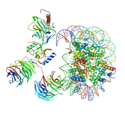 BU of 7mbn by Molmil