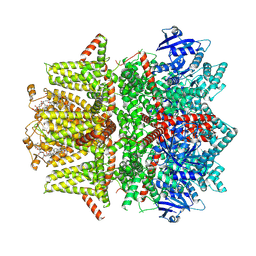 BU of 7mbp by Molmil