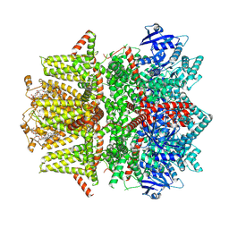 BU of 7mbr by Molmil