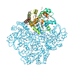 BU of 7mcb by Molmil